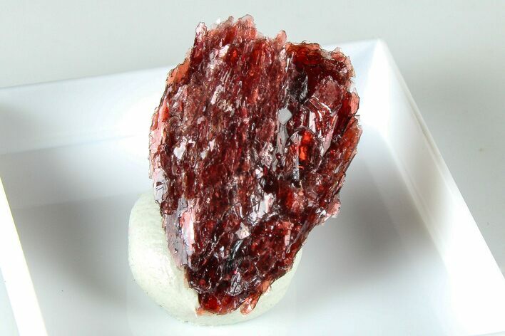 Lustrous Red Alurgite Crystal Cluster - South Africa #379825